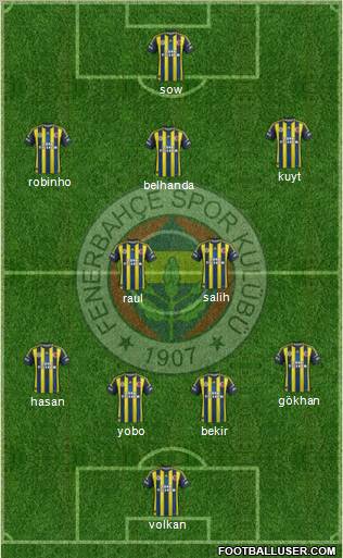 Fenerbahçe SK Formation 2013