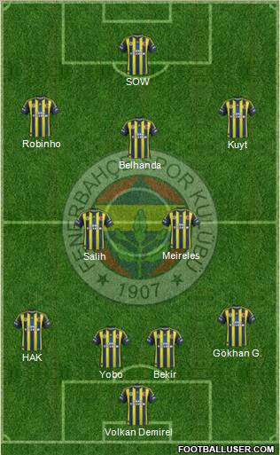 Fenerbahçe SK Formation 2013