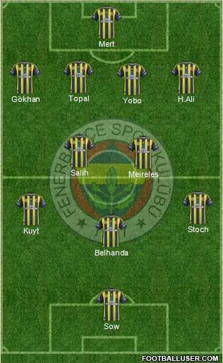 Fenerbahçe SK Formation 2013