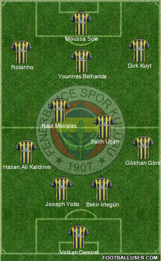 Fenerbahçe SK Formation 2013
