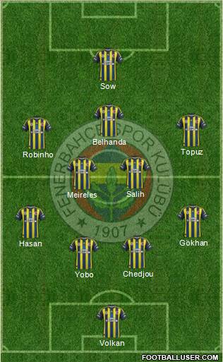 Fenerbahçe SK Formation 2013