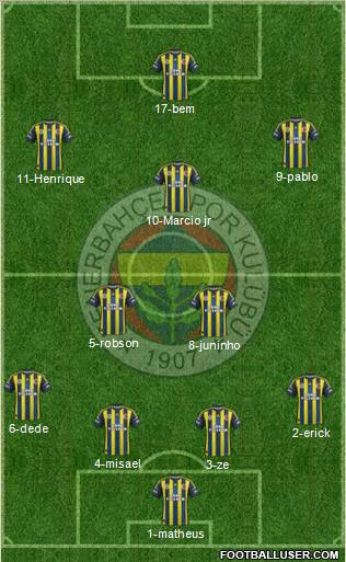 Fenerbahçe SK Formation 2013
