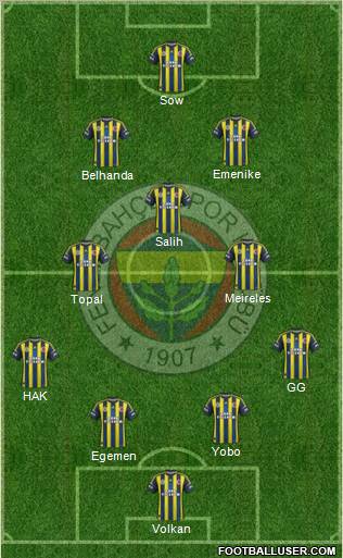 Fenerbahçe SK Formation 2013