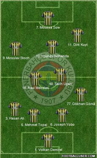 Fenerbahçe SK Formation 2013