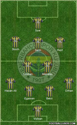 Fenerbahçe SK Formation 2013
