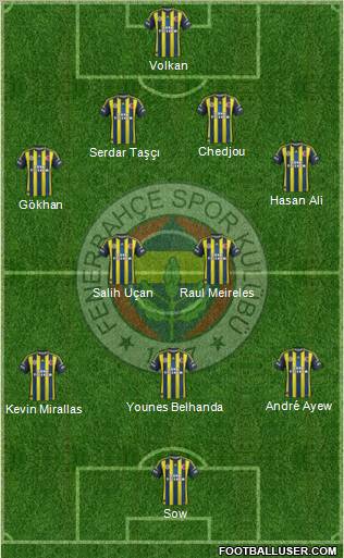 Fenerbahçe SK Formation 2013