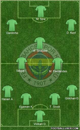 Fenerbahçe SK Formation 2013