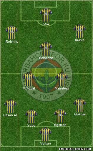 Fenerbahçe SK Formation 2013