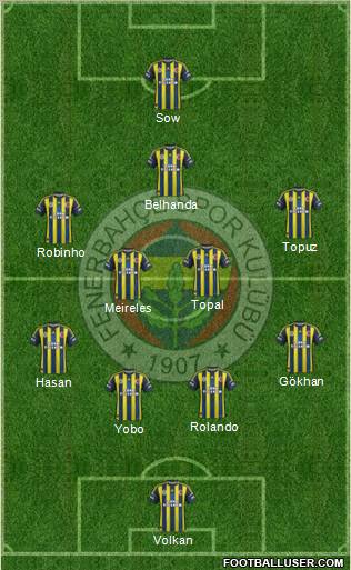 Fenerbahçe SK Formation 2013