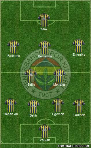 Fenerbahçe SK Formation 2013