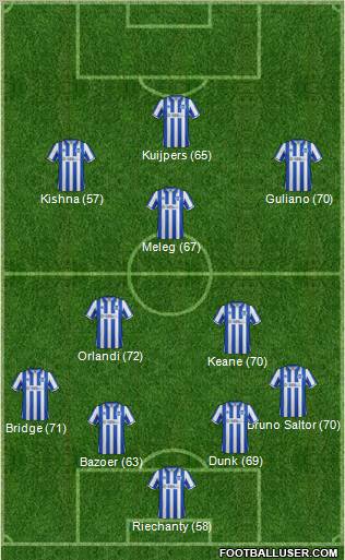 Brighton and Hove Albion Formation 2013