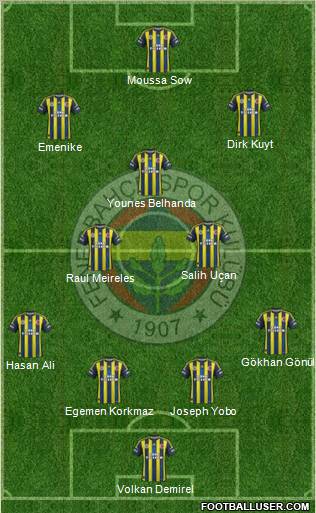 Fenerbahçe SK Formation 2013