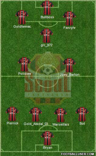 FC Seoul Formation 2013