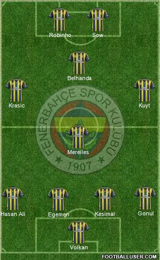 Fenerbahçe SK Formation 2013