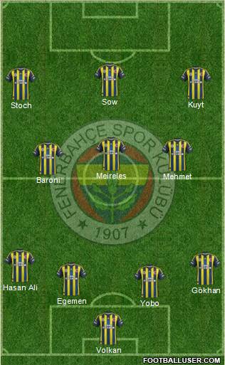 Fenerbahçe SK Formation 2013