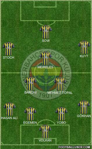 Fenerbahçe SK Formation 2013