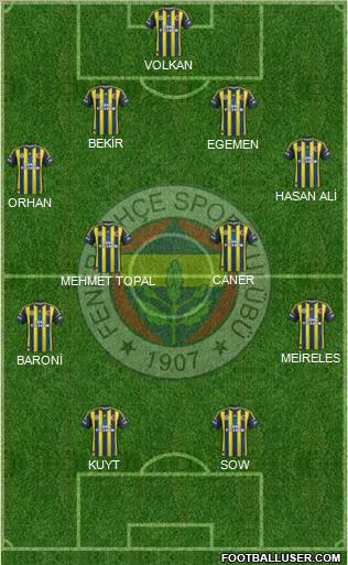Fenerbahçe SK Formation 2013