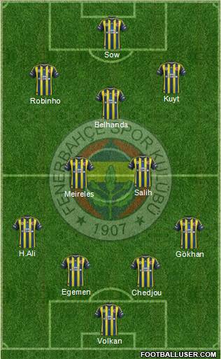 Fenerbahçe SK Formation 2013