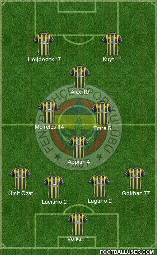Fenerbahçe SK Formation 2013