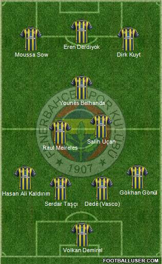 Fenerbahçe SK Formation 2013