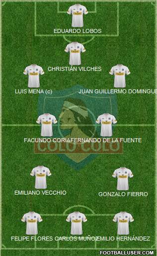 CSD Colo Colo Formation 2013