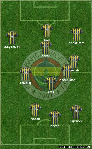 Fenerbahçe SK Formation 2013