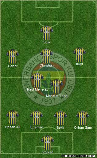 Fenerbahçe SK Formation 2013