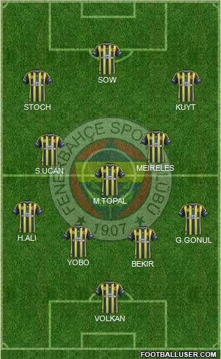 Fenerbahçe SK Formation 2013