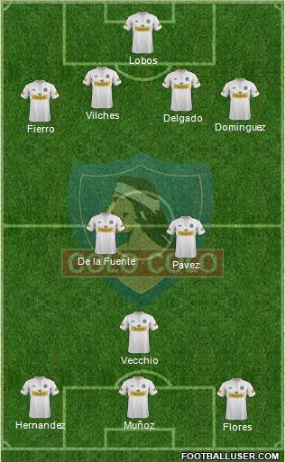 CSD Colo Colo Formation 2013