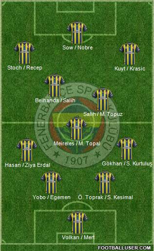 Fenerbahçe SK Formation 2013