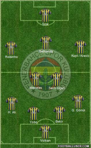 Fenerbahçe SK Formation 2013