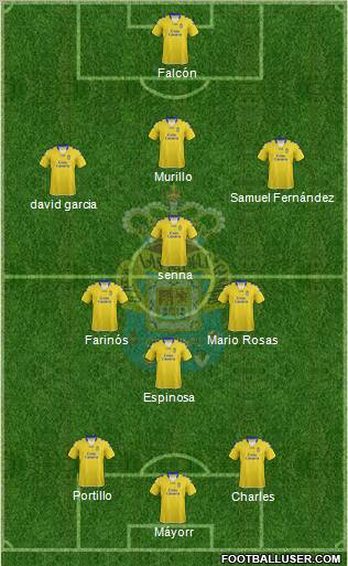 U.D. Las Palmas S.A.D. Formation 2013