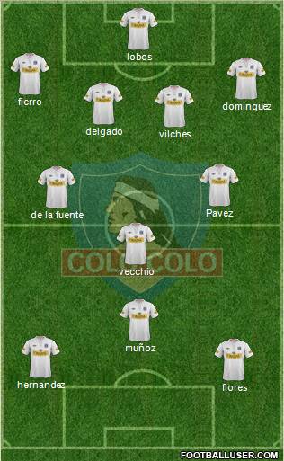 CSD Colo Colo Formation 2013