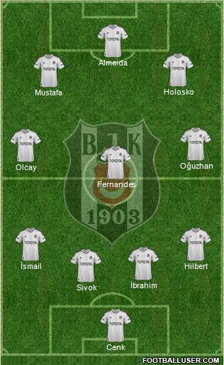Besiktas JK Formation 2013