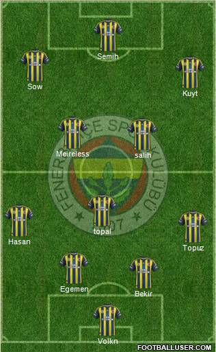 Fenerbahçe SK Formation 2013