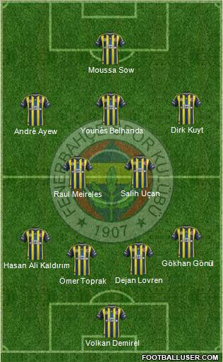 Fenerbahçe SK Formation 2013
