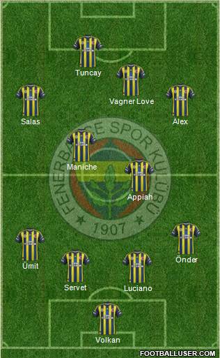 Fenerbahçe SK Formation 2013