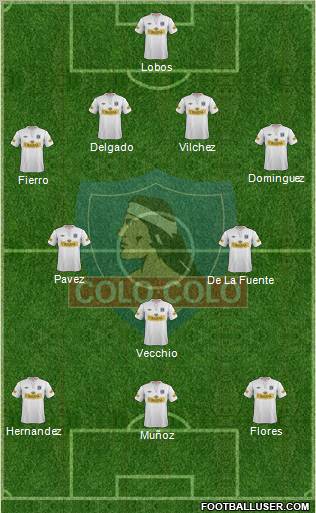 CSD Colo Colo Formation 2013