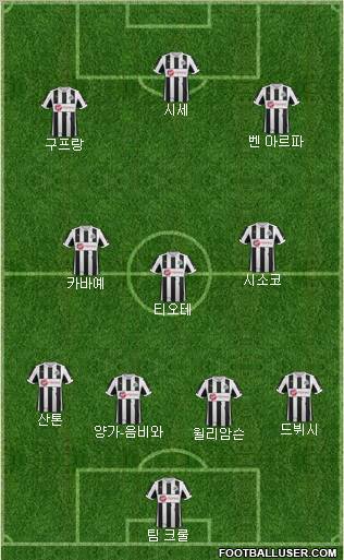 Newcastle United Formation 2013