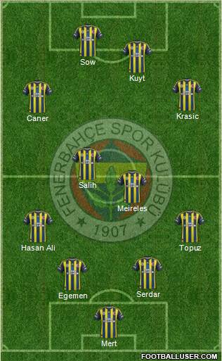 Fenerbahçe SK Formation 2013