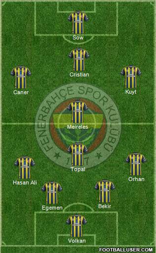 Fenerbahçe SK Formation 2013