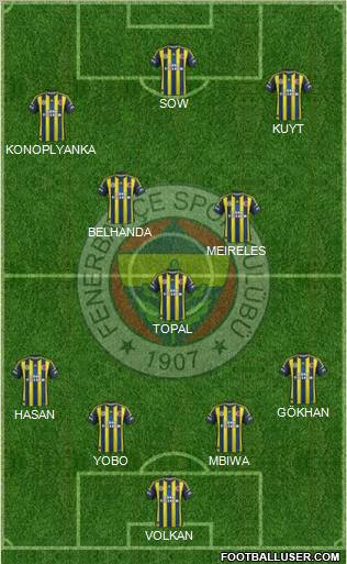 Fenerbahçe SK Formation 2013