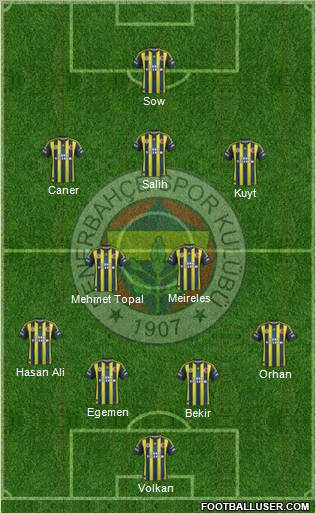 Fenerbahçe SK Formation 2013