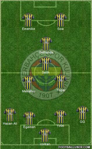Fenerbahçe SK Formation 2013