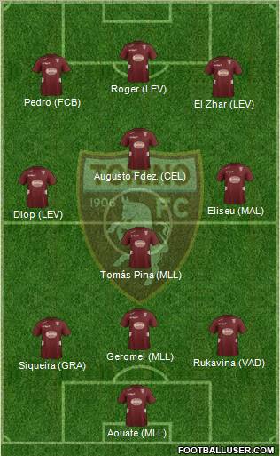 Torino Formation 2013