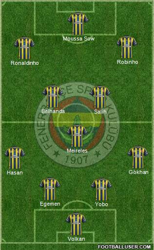 Fenerbahçe SK Formation 2013