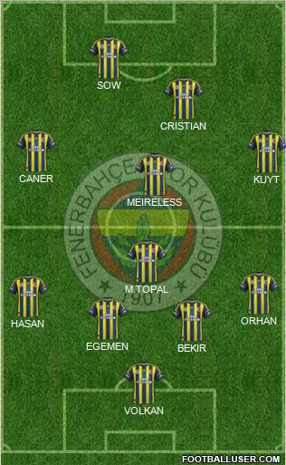 Fenerbahçe SK Formation 2013