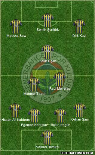Fenerbahçe SK Formation 2013