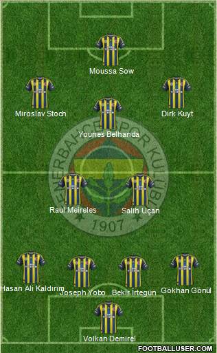 Fenerbahçe SK Formation 2013