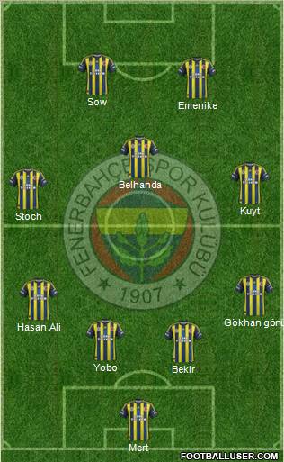 Fenerbahçe SK Formation 2013